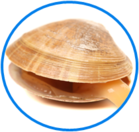 020109yg-c88b-139x132.png