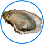 020109yi-c3f0-144x144.png