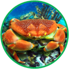 02010a0h-9eee-140x139.png
