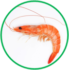 02010a0j-c7c4-142x143.png