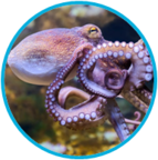 02010a0r-358b-143x144.png