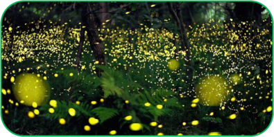 02010a21-70a2-395x198.png