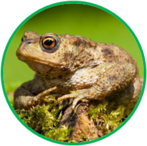 02010a31-d9f4-147x146.png