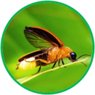 02010a32-a456-139x139.png