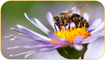 02010a3w-b95f-364x208.png