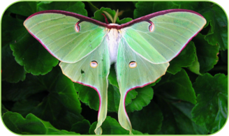 02010a57-c861-328x195.png
