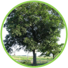 02010a5j-7a5b-140x140.png