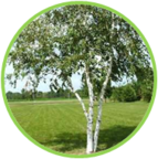 02010a5k-f1e7-143x144.png