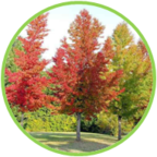 02010a5l-6308-144x144.png