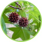 02010a5p-1d3b-144x144.png