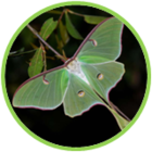 02010a6a-4771-140x140.png