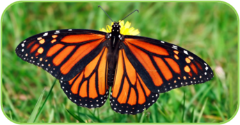 02010a6i-3c8d-345x181.png
