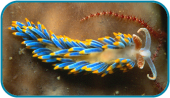 02010a92-7c35-337x194.png