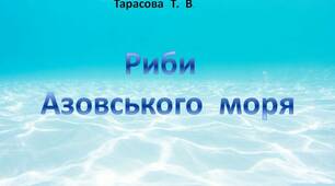 Презентація  "Риби  Азовського  моря"