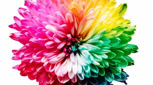 Colour idioms