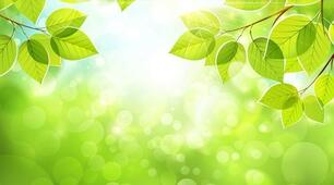 Курс занять ,, Як швидко адаптуватися до садочка, ,