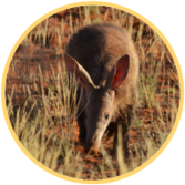 02010h4n-7933-167x167.png