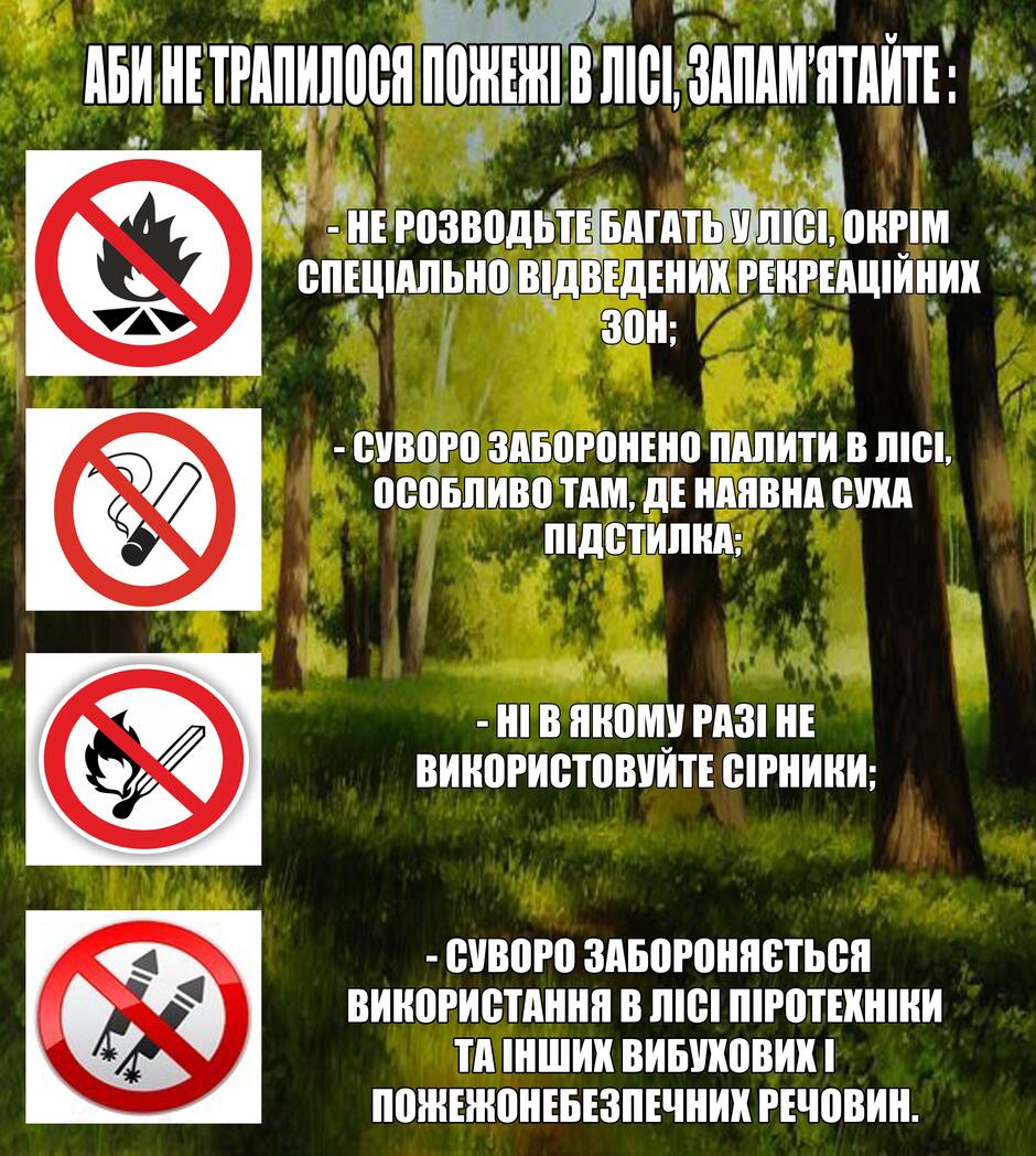 Дотримуйтесь правил поведінки у лісі! - Сквирський ліцей