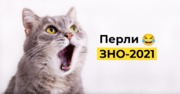 Перли ЗНО-2021: Китай заснував лапшу, а борщ передається з покоління в покоління
