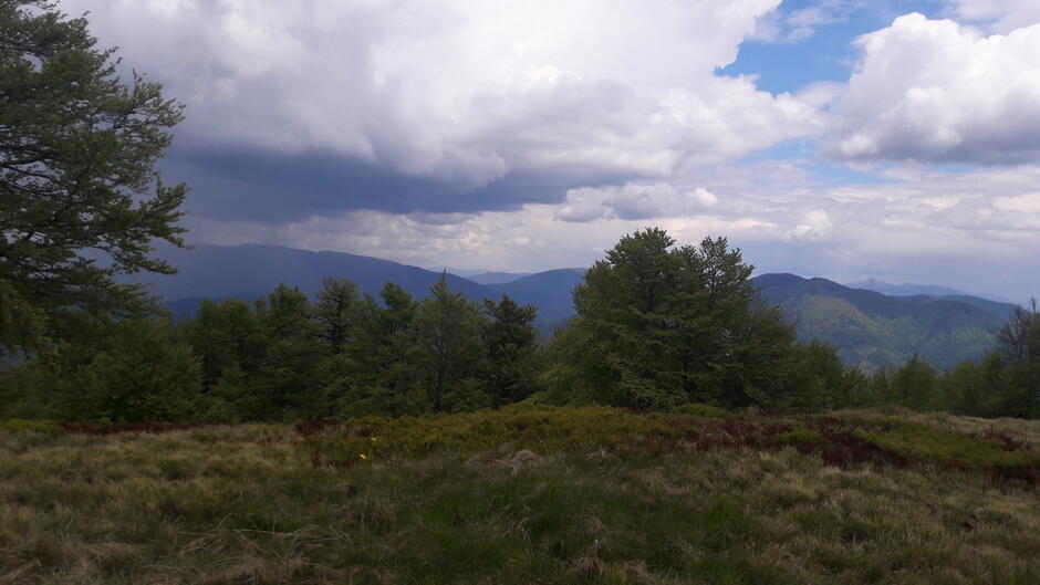 02010j7y-8072-940x529.jpg