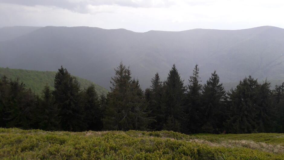 02010j80-bd17-940x529.jpg