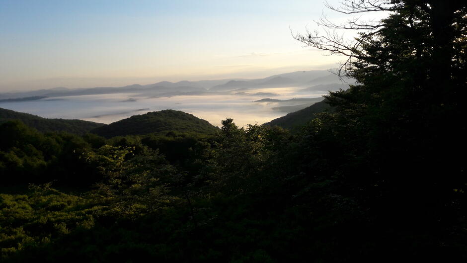 02010j82-2a3b-940x529.jpg
