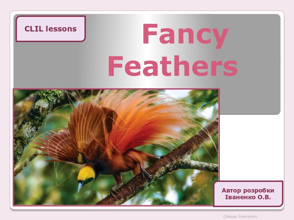 Fancy Feathers Olesya Ivanenko CLIL lessons Автор розробки Іваненко О.В.