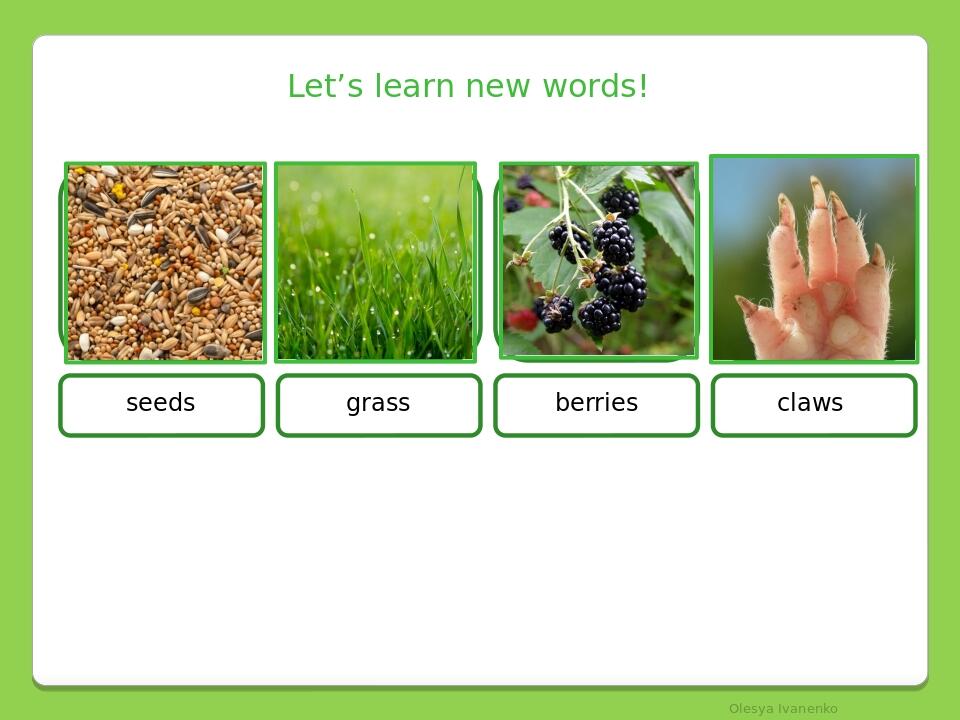 Let’s learn new words! seeds grass berries claws Olesya Ivanenko