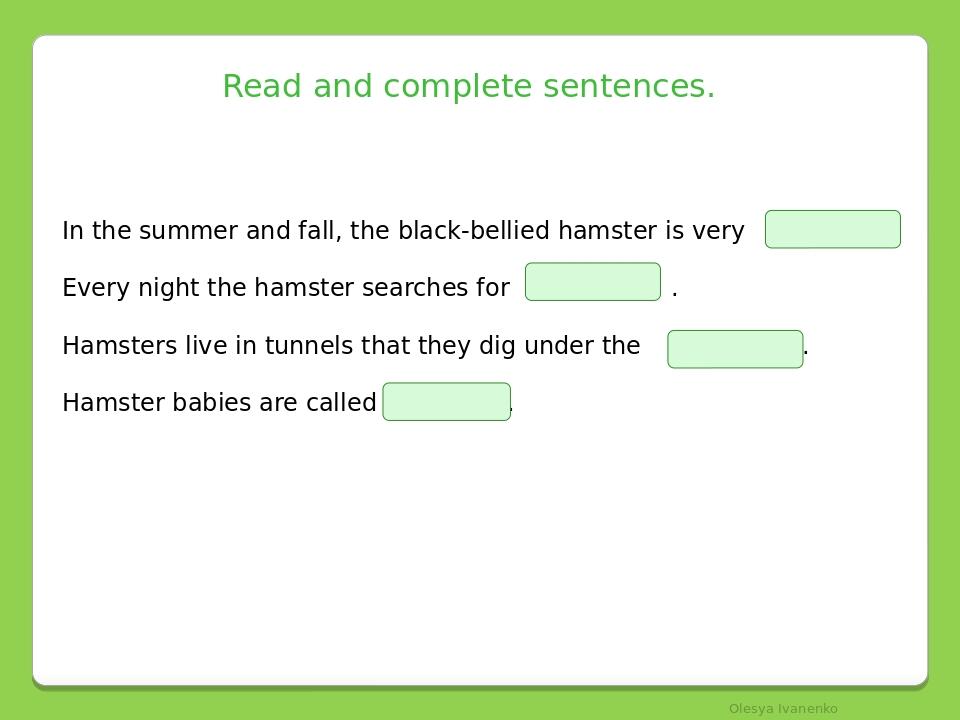 Read and complete sentences. In the summer and fall, the black-bellied hamster is very . Every night the hamster searches for . Hamsters live in tu...