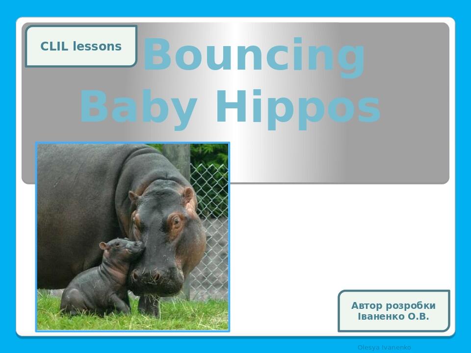 Bouncing Baby Hippos Olesya Ivanenko CLIL lessons Автор розробки Іваненко О.В.