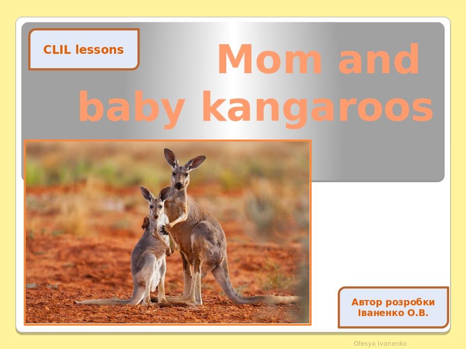 Mom and baby kangaroos Olesya Ivanenko CLIL lessons Автор розробки Іваненко О.В.