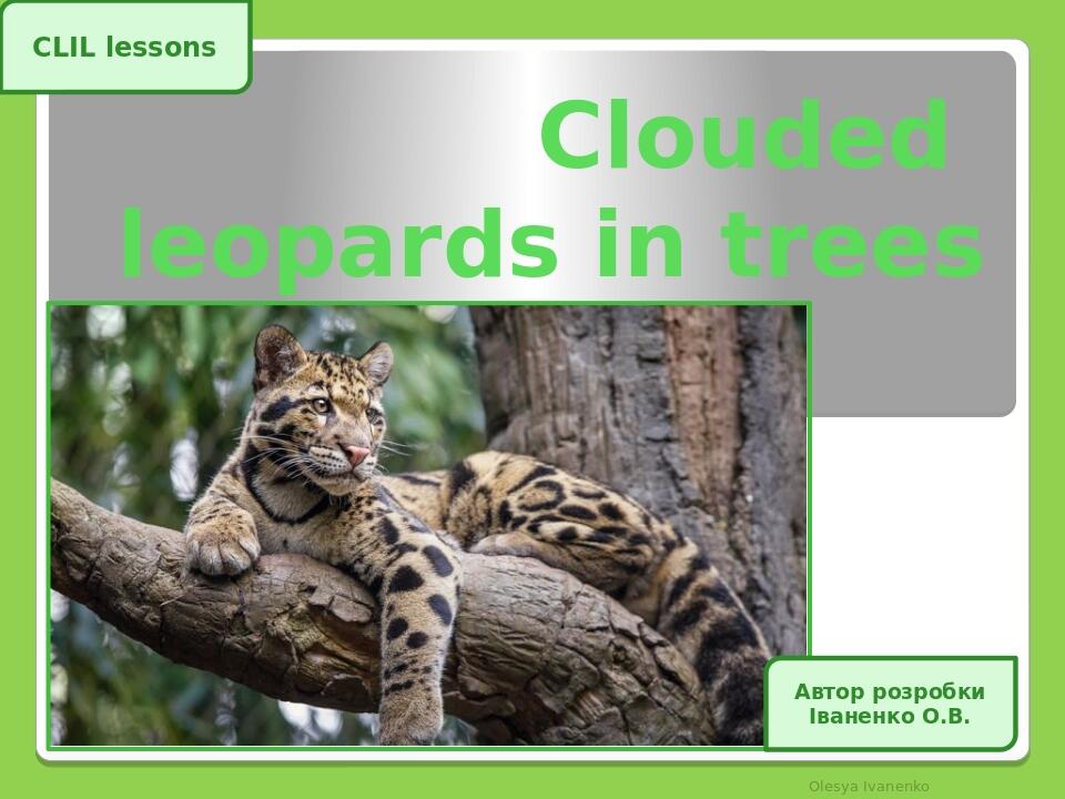 Clouded leopards in trees Olesya Ivanenko CLIL lessons Автор розробки Іваненко О.В.