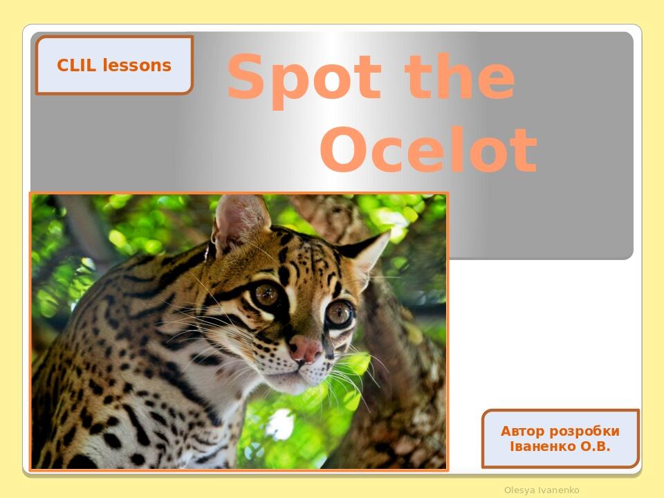 Spot the Ocelot Olesya Ivanenko CLIL lessons Автор розробки Іваненко О.В.