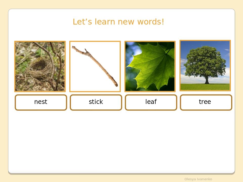Let’s learn new words! nest stick leaf tree Olesya Ivanenko
