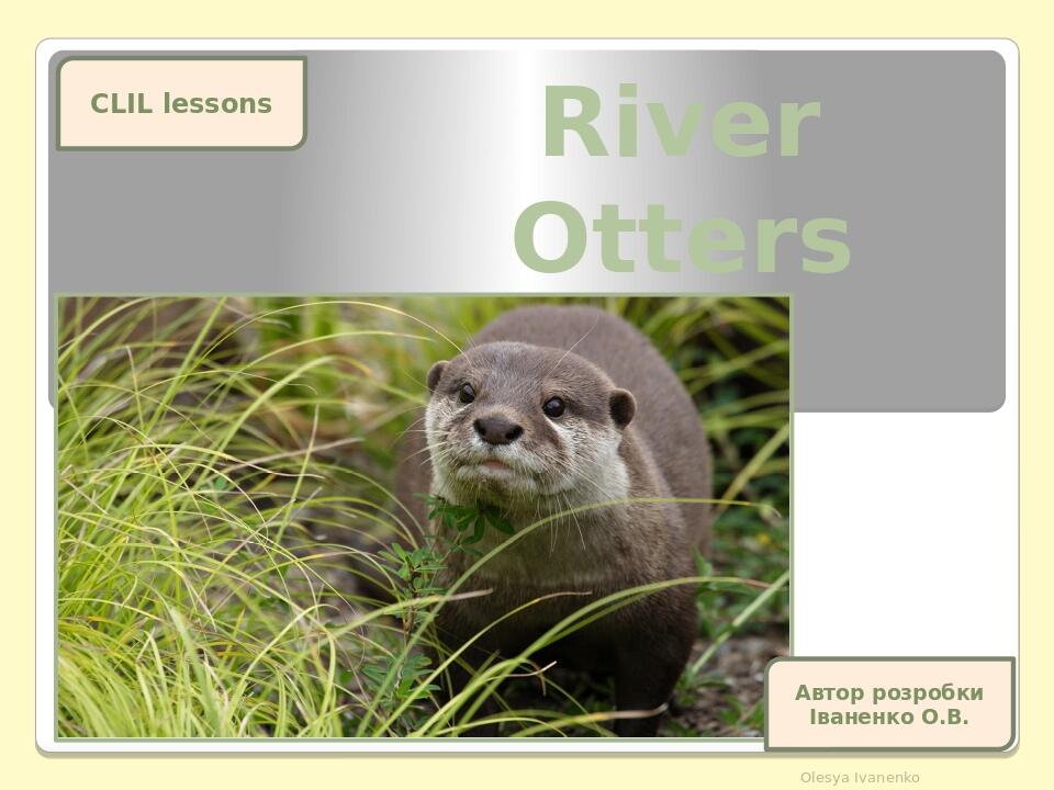 River Otters Olesya Ivanenko CLIL lessons Автор розробки Іваненко О.В.