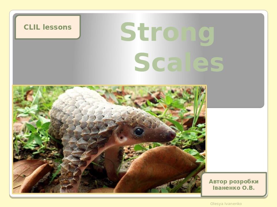 Strong Scales Olesya Ivanenko CLIL lessons Автор розробки Іваненко О.В.