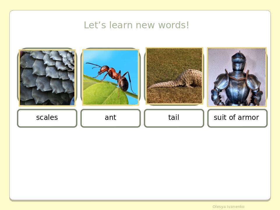 Let’s learn new words! scales ant tail suit of armor Olesya Ivanenko