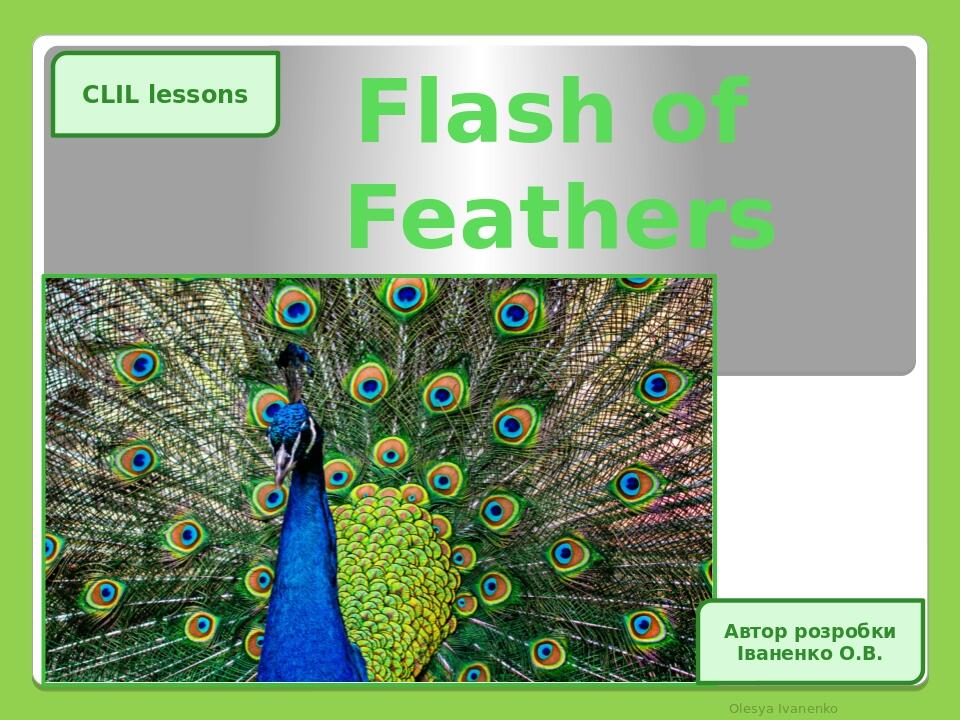 Flash of Feathers Olesya Ivanenko CLIL lessons Автор розробки Іваненко О.В.