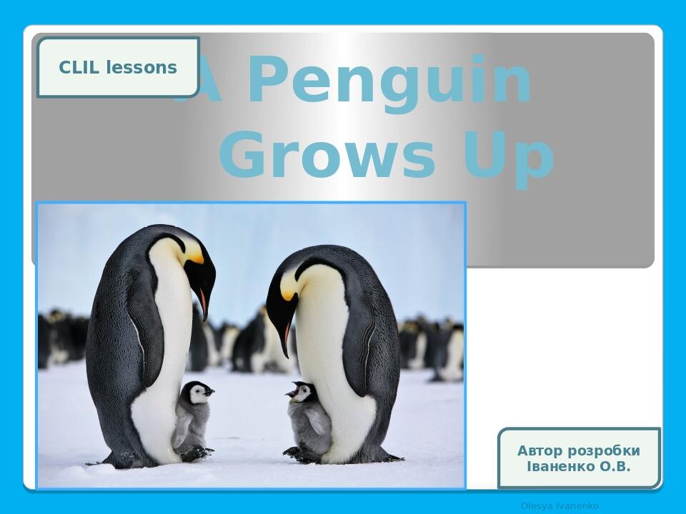 A Penguin Grows Up Olesya Ivanenko CLIL lessons Автор розробки Іваненко О.В.