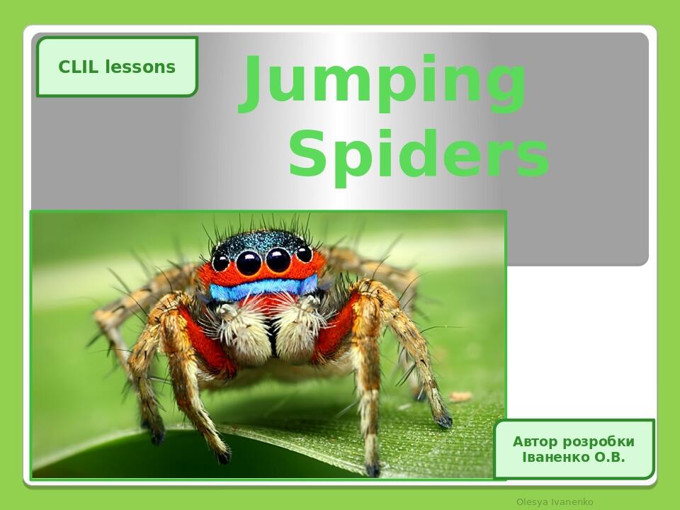 Jumping Spiders Olesya Ivanenko CLIL lessons Автор розробки Іваненко О.В.