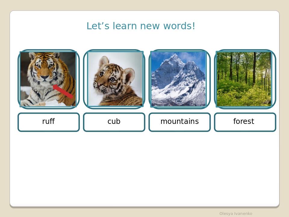 Let’s learn new words! ruff cub mountains forest Olesya Ivanenko