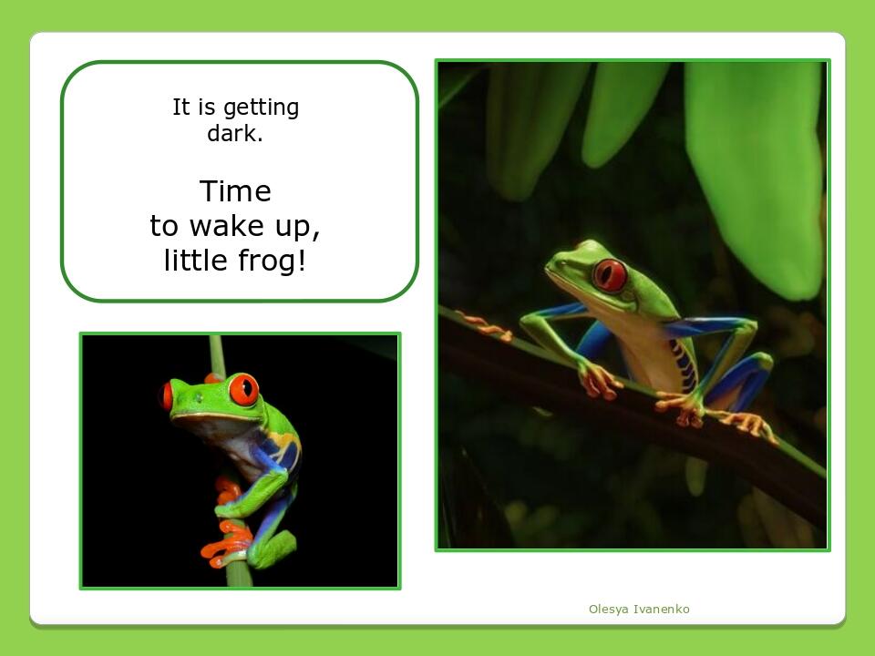 Olesya Ivanenko It is getting dark. Time to wake up, little frog!