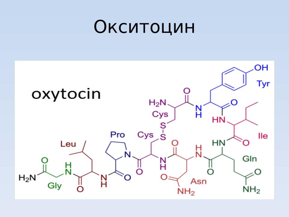 Окситоцин формула картинка