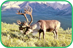 02010l3e-a258-282x188.png