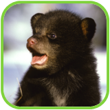 02010mm3-80a1-160x160.png