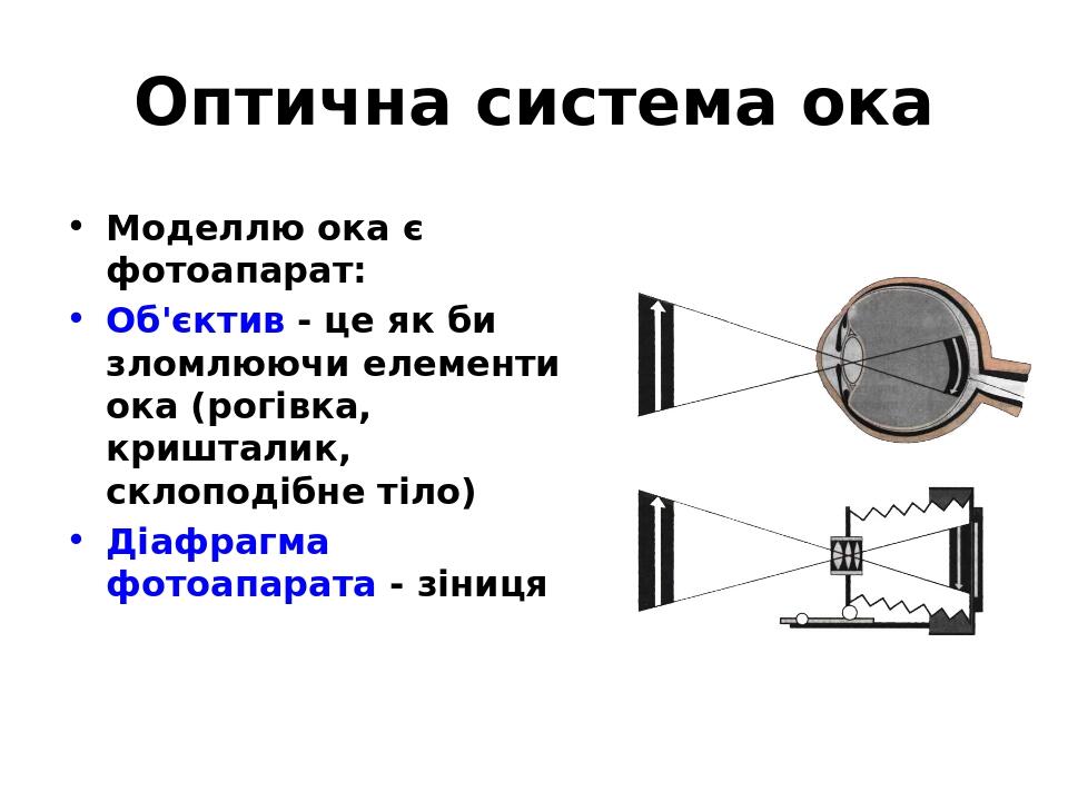 Система выхлопа ока