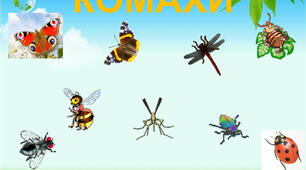 Комахи