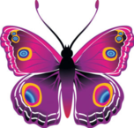 02010oll-778f-152x145.png