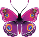 02010olx-5d76-125x119.png