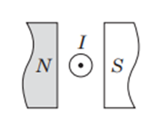 02010poe-3658-152x125.png